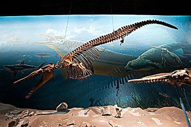 粉丝自制电影《寂静岭：不眠之梦》还原《寂静岭2》